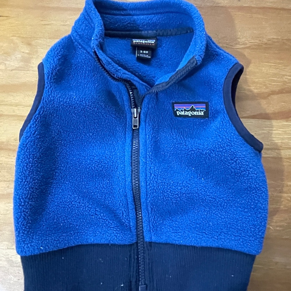 Patagonia Synchilla Blue Fleece